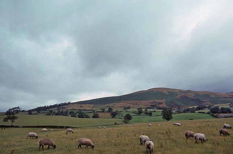 WT 3100 347-36 UK-3 1992.jpg
